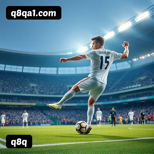 Imagem secundária de apoio para instalação do app q8q
